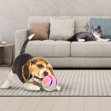 Laden Sie das Bild in den Galerie-Viewer, 🐱🐶Intelligenter Haustierball