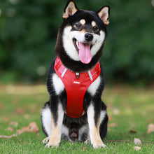 Laden Sie das Bild in den Galerie-Viewer, Reflektierender Hunde-Brustgurt