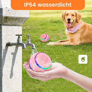 🐱🐶Intelligenter Haustierball