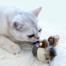 Laden Sie das Bild in den Galerie-Viewer, 😺Katzenspielzeug - Simulierter zwitschernder Vogel