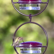 Laden Sie das Bild in den Galerie-Viewer, Einfacher Kolibri-Wasserspender aus Metall