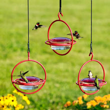 Laden Sie das Bild in den Galerie-Viewer, Einfacher Kolibri-Wasserspender aus Metall