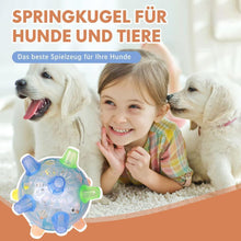 Laden Sie das Bild in den Galerie-Viewer, Springkugel für Hunde und Tiere