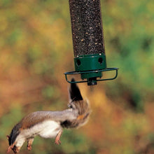 Laden Sie das Bild in den Galerie-Viewer, Eichhörnchensicherer Vogelhäuschen