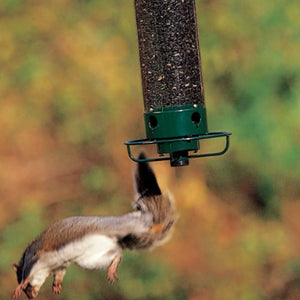 Eichhörnchensicherer Vogelhäuschen