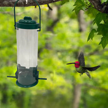 Laden Sie das Bild in den Galerie-Viewer, Eichhörnchensicherer Vogelhäuschen