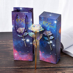 Bunte Galaxy Rose